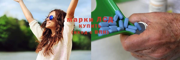 тгк Нея