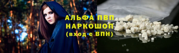 тгк Нея