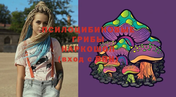 дурь Новозыбков