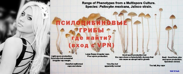 тгк Нея